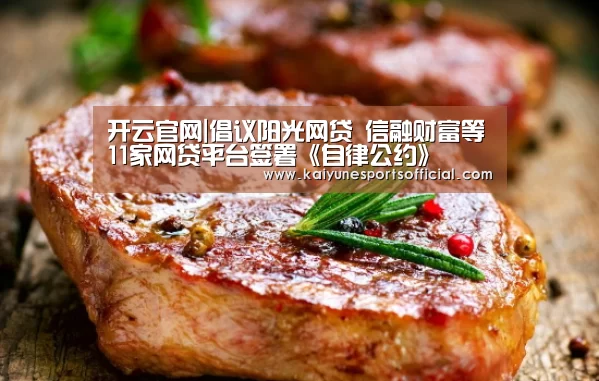 开云官网|倡议阳光网贷 信融财富等11家网贷平台签署《自律公约》(图2)