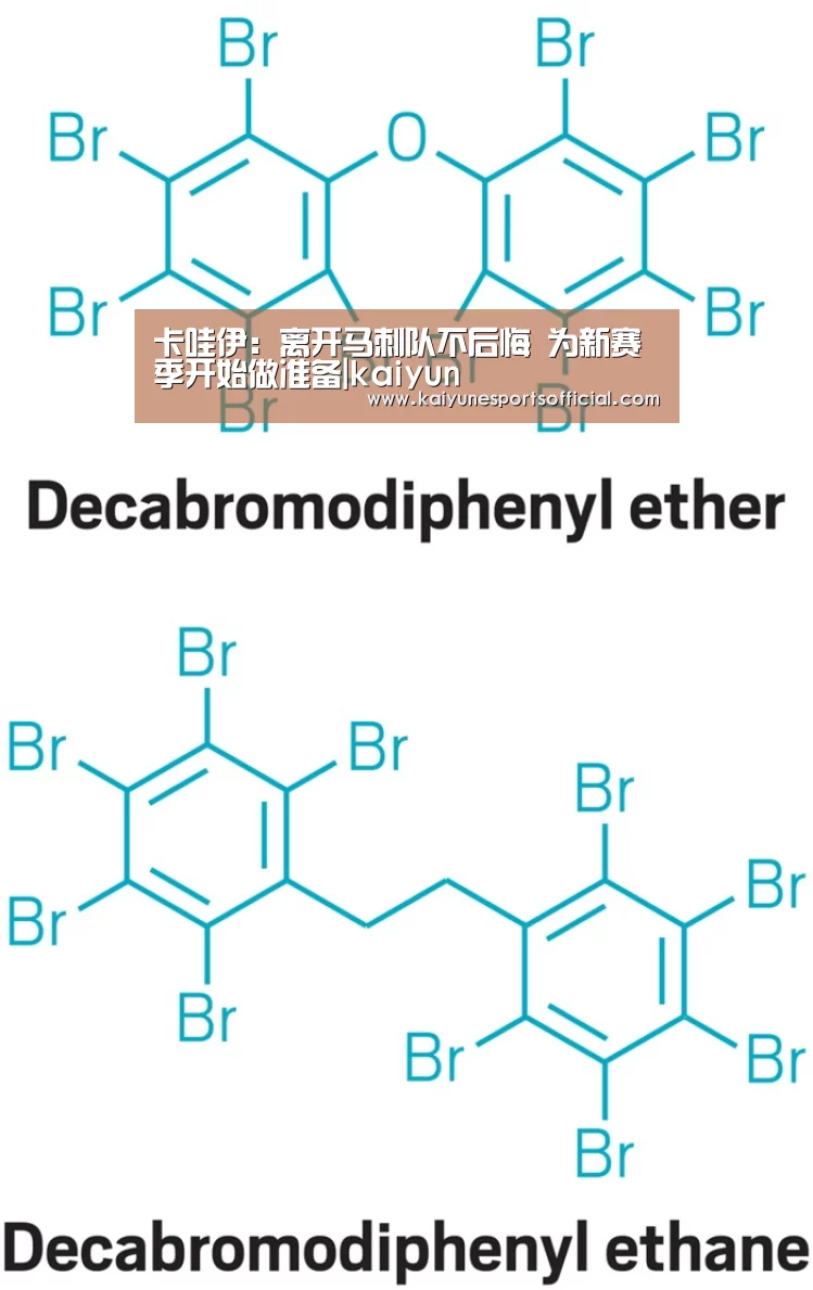 开云电竞